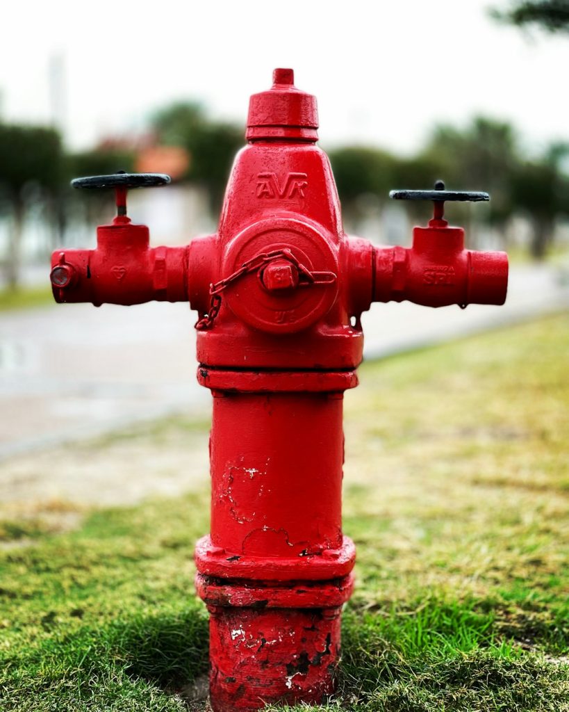 a-red-fire-hydrant-sitting-on-top-of-a-lush-green-field-id6lugug6ra