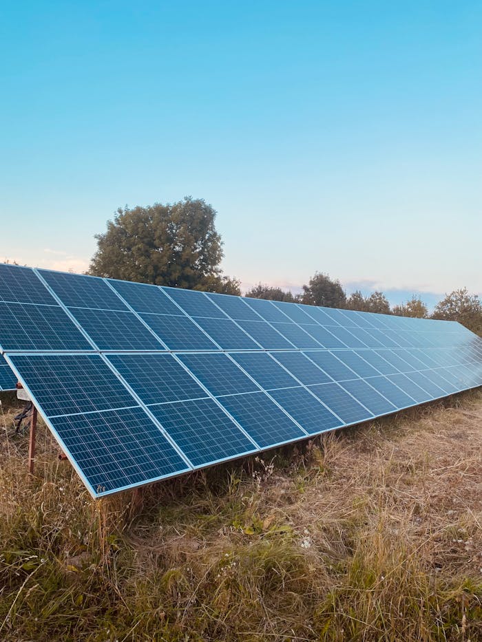 Rows of solar panels in a field harness clean energy under a clear blue sky.